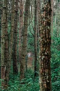 BIB: 
                            <button type="button" onclick="openModal(25235636)" class="btn btn-primary btn-sm float-right btn-popup" data-toggle="modal" data-target=".modal-high-quality">
                        <i class="fas fa-shopping-cart"></i> Add to Cart
                    </button>
                                            <button type="button" onclick="isThisMe(25235636, true)" class="btn btn-success btn-sm float-right btn-popup btn-isme hidden" data-toggle="tooltip" data-placement="bottom" title="นี่คือรูปของคุณใช่ไหม คลิกที่นี่เพื่อเอาเข้าอัลบั้ม">
                        <i class="fas fa-plus"></i> Add to album
                    </button>
                    <button type="button" onclick="isThisMe(25235636, false)" class="btn btn-warning btn-sm float-right btn-popup btn-isnotme hidden">
                        <i class="fas fa-ban"></i> Remove from album
                    </button>